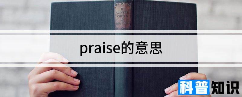 praise的意思