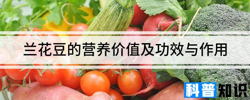 兰花豆的营养价值及功效与作用