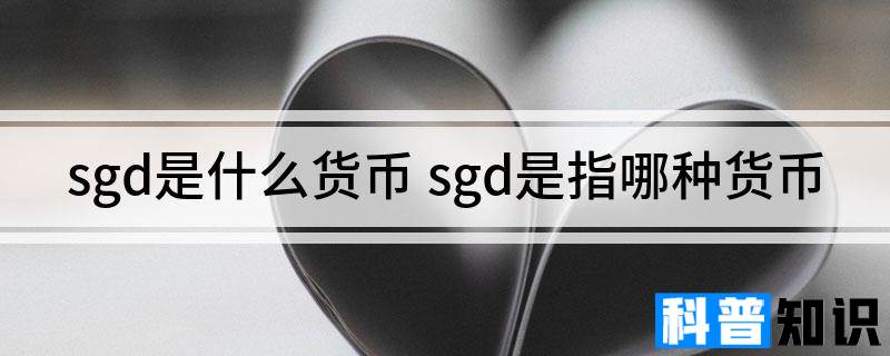 sgd是什么货币 sgd是指哪种货币