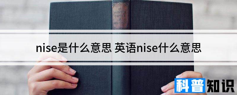 nise是什么意思 英语nise什么意思