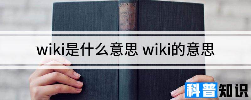 wiki是什么意思 wiki的意思