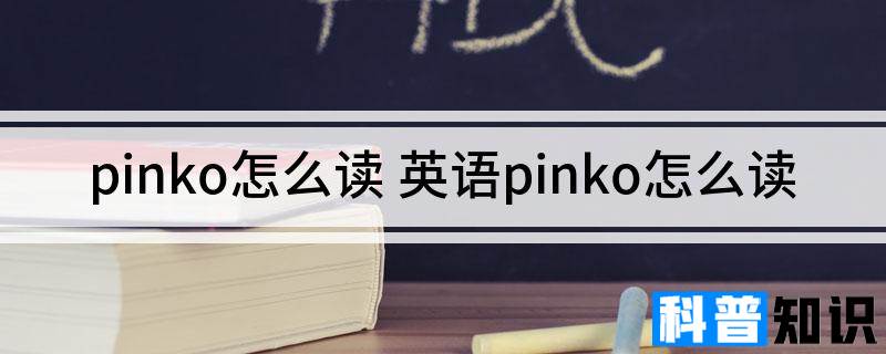 pinko怎么读 英语pinko怎么读