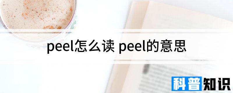 peel怎么读 peel的意思