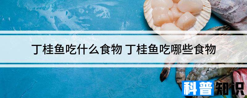 丁桂鱼吃什么食物 丁桂鱼吃哪些食物