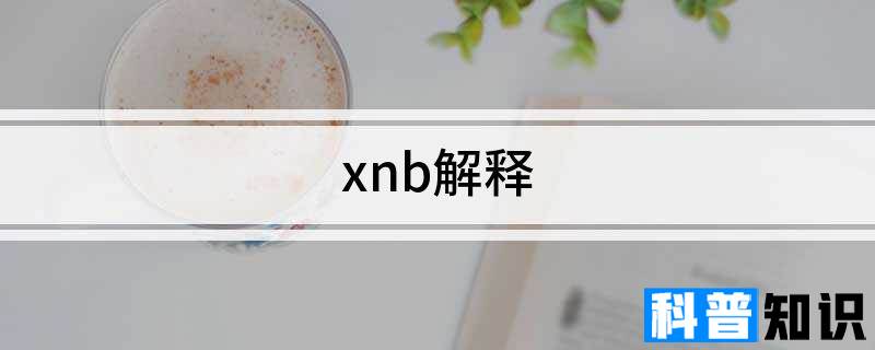 xnb解释