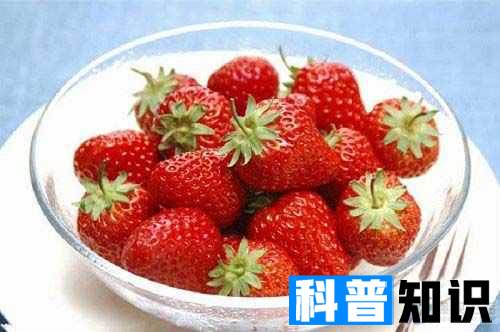 冰冻过的草莓可以吃吗