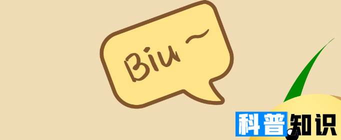 biu的中文是什么意思？