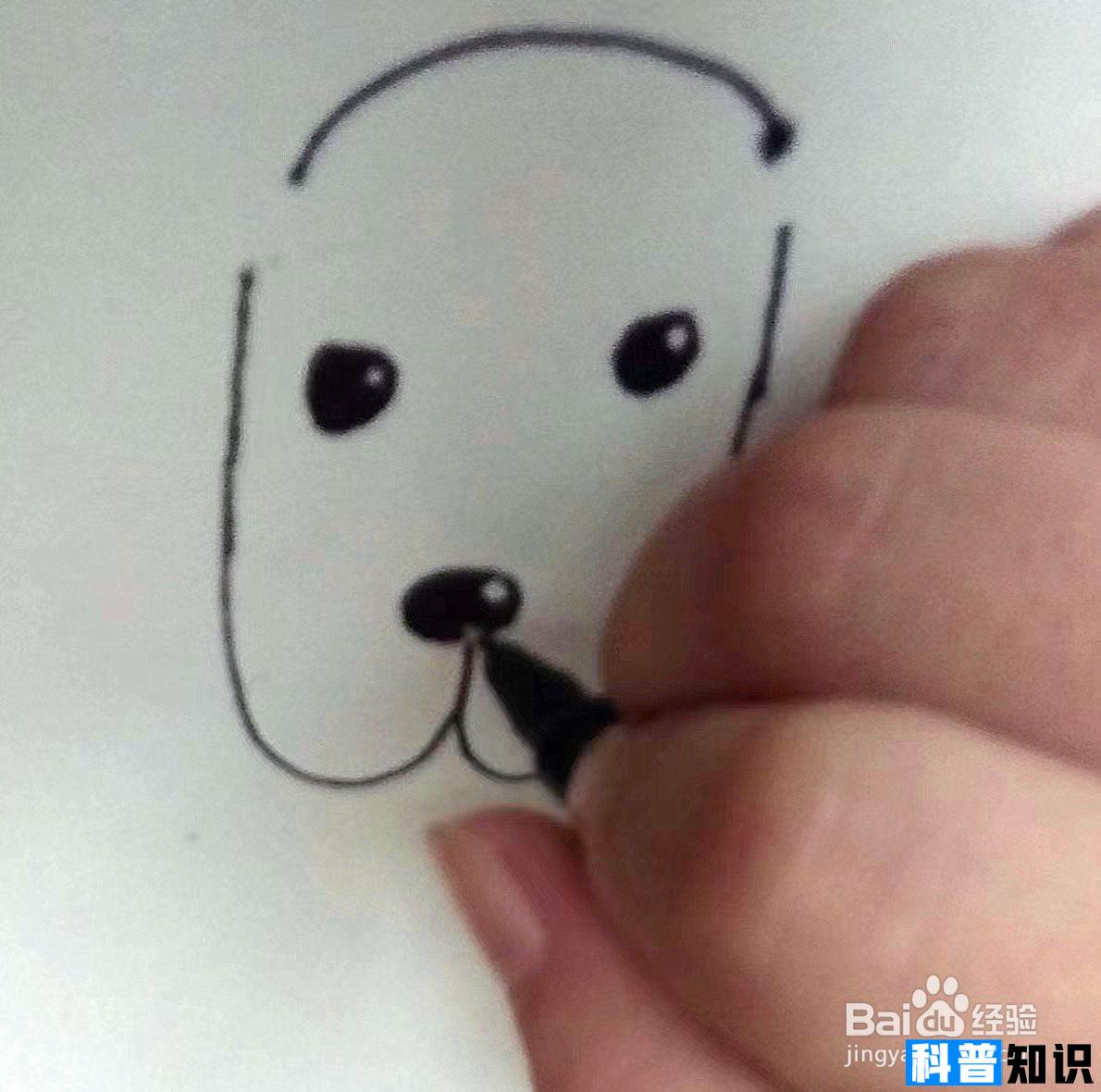 大耳狗怎么画？