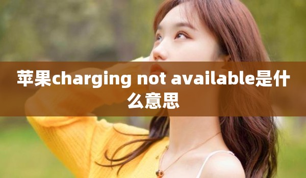 苹果charging not available是什么意思